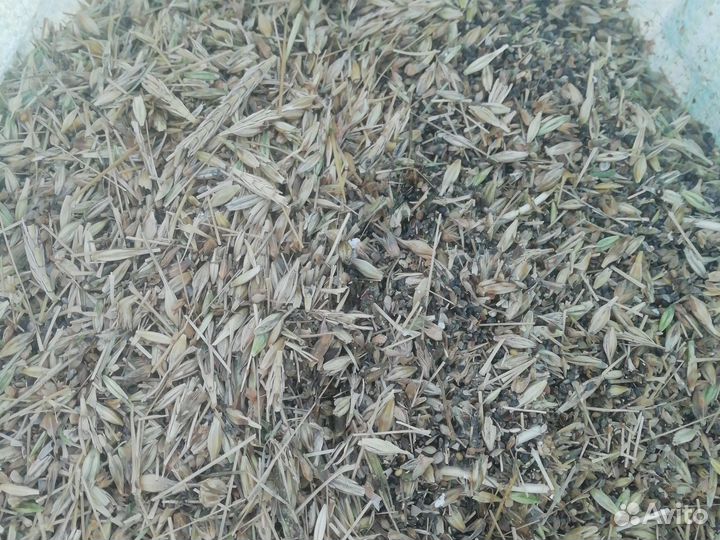 Ячменые корма