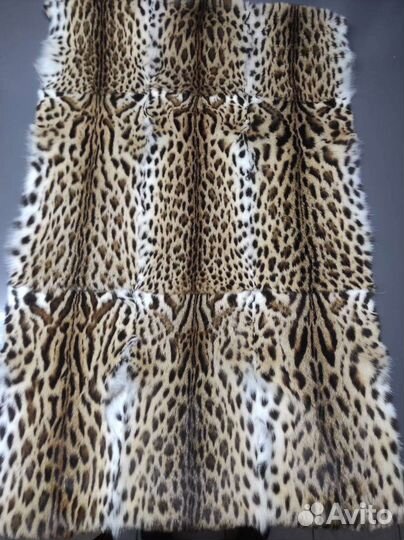 Пластина оцелота