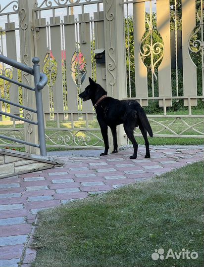 Кабель для вязки