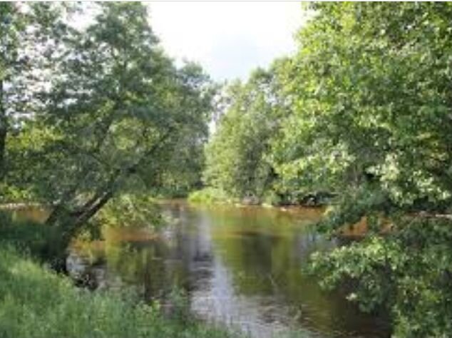 Участок 15 сот. (ИЖС)