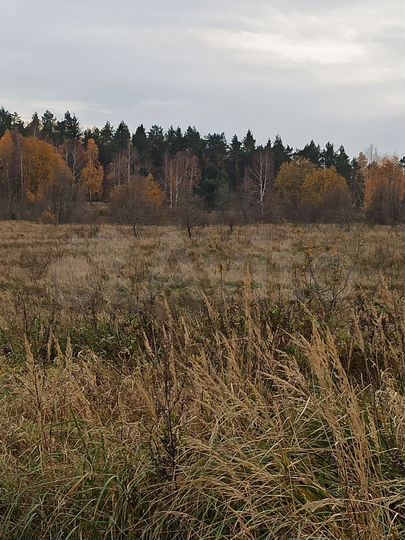 Участок 10 га (СНТ, ДНП)