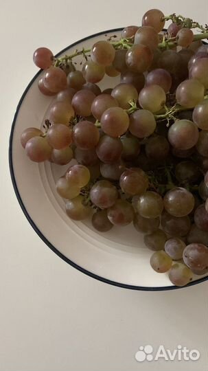 Виноград домашний