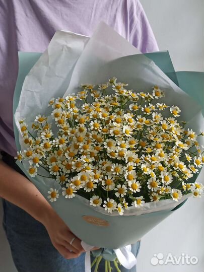 Букет из ромашек матрикария 9 веточек