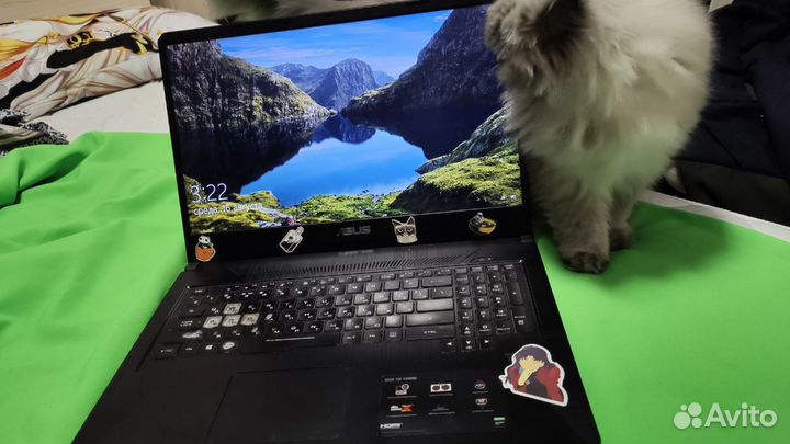 Asus fx 705 dt