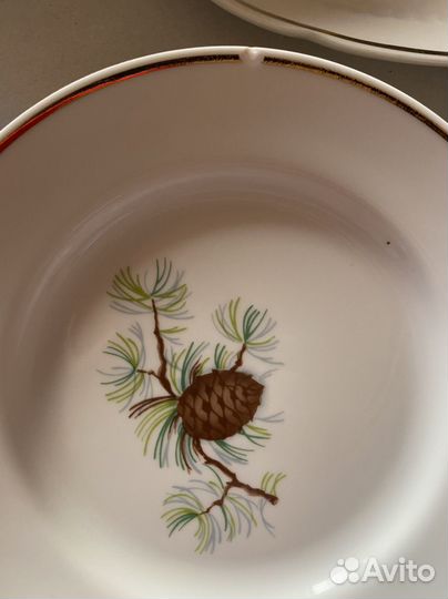 Сервиз столовый с шишками