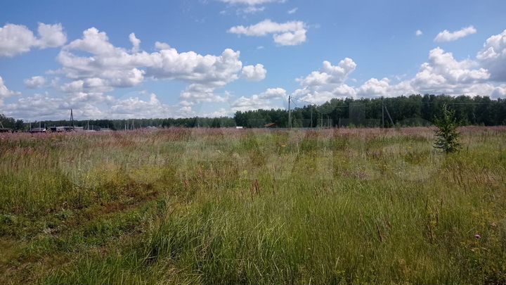 Участок 15 сот. (ИЖС)