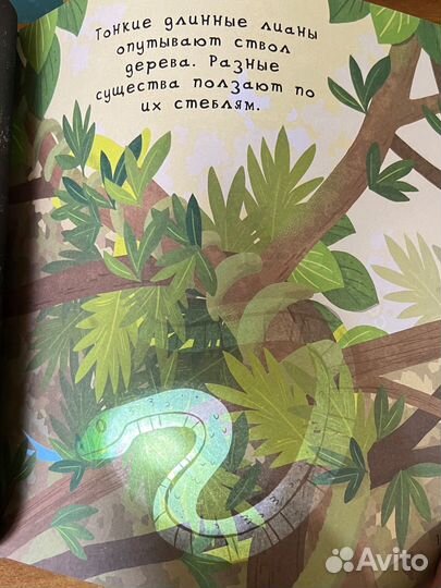 Книги с фонариком