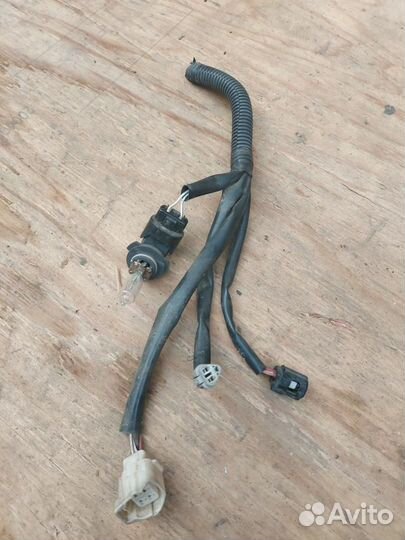 Проводка фары Toyota Estima 3 AHR20W 2008