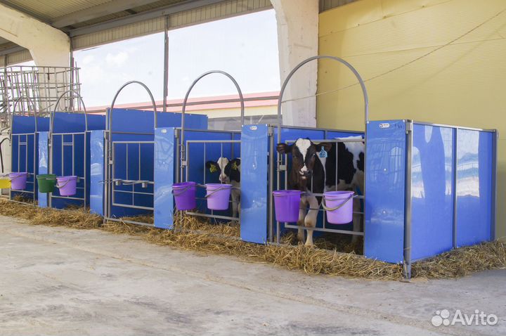 Домики для телят