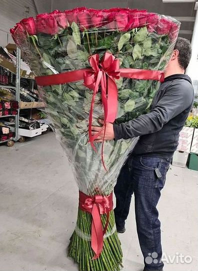 101 роза цветы букеты доставка 25 51 101 роза