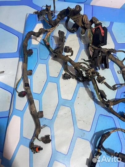 Проводка (коса) 31288963