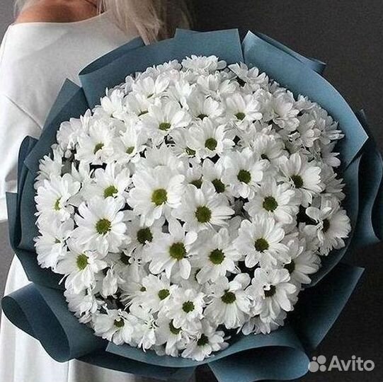 Хризантема. Букеты Цветы доставка