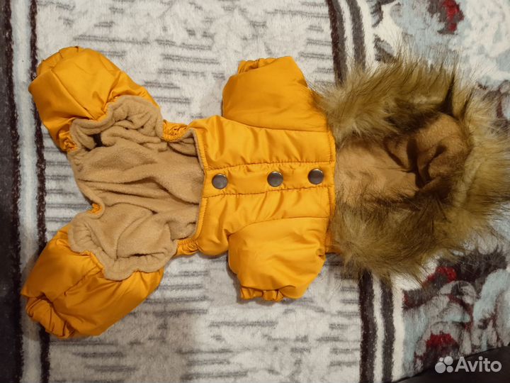 Одежда для собак мелких пород