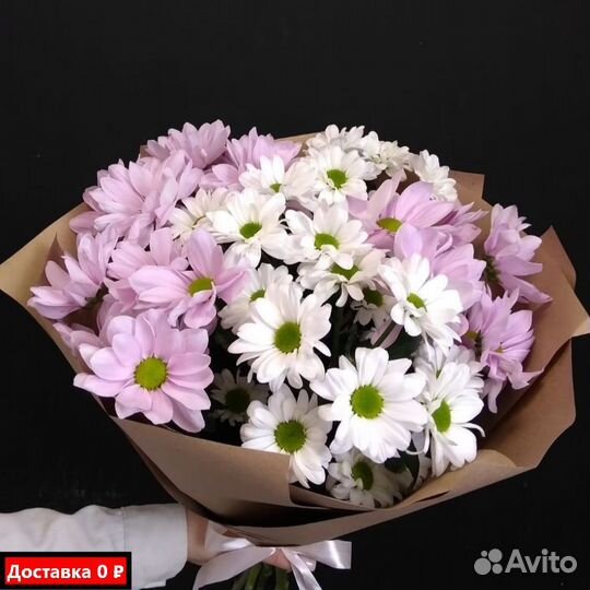 Купить хризантемы