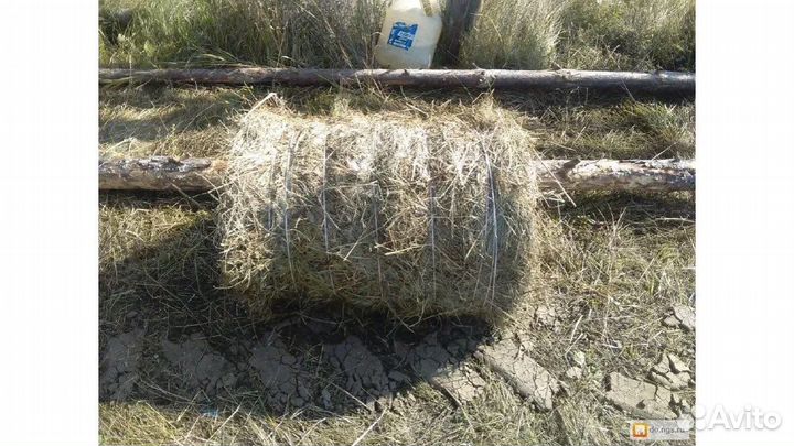 Сено луговое в тюках