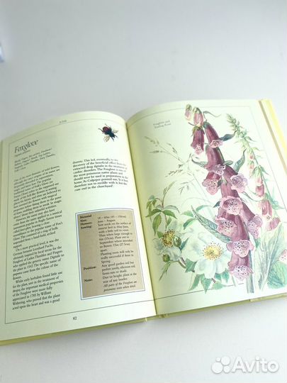 Деревенский дневник с рисунками Эдит Холден