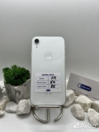 iPhone Xr, 64 ГБ