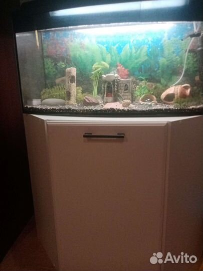 Аквариум