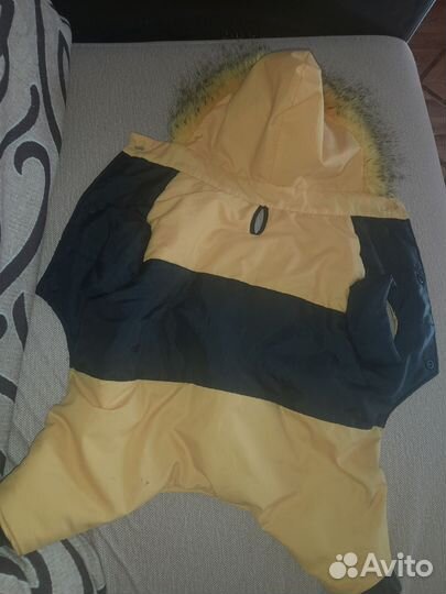 Костюм для маленькой собачки