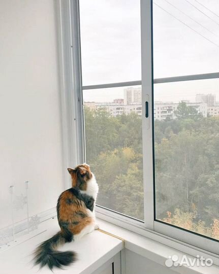 Москитные сетки