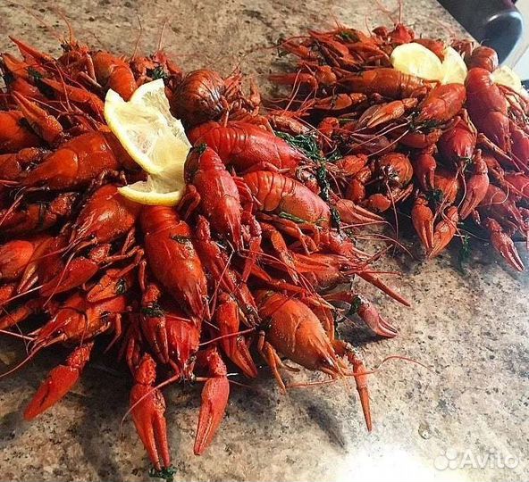Живые раки