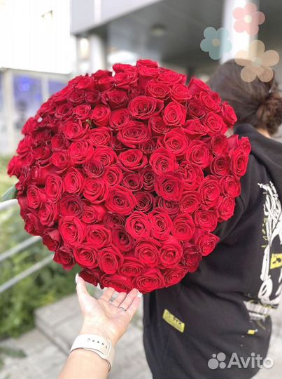 101 Роза цветы доставка 25 51 101 Роза
