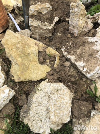 Природный камень известняк