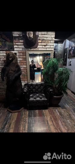 Кафе Ресторан Бар