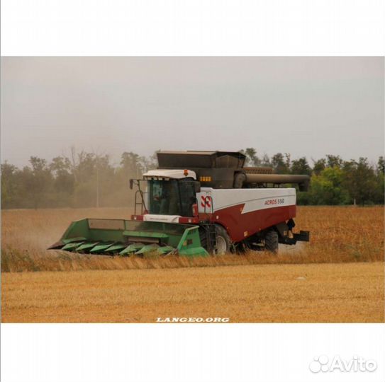 Уборка урожая 2024