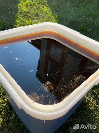 Дягилевый мед свежий оптом