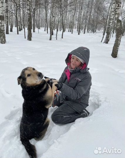 Наш большой мальчик Дрейк ищет родителей
