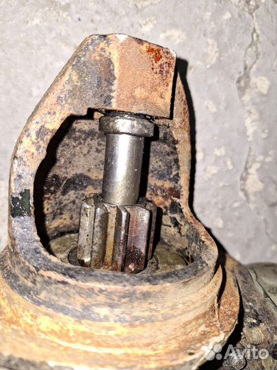 Стартер газон