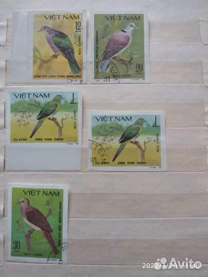 Наборы беззубцовых марок флора и фауна Вьетнам гаш