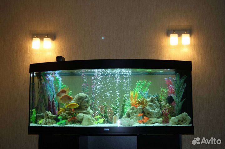 Установка, запуск и Чистка Аквариумов