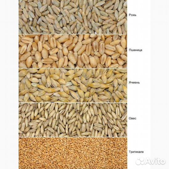 Комбикорм раменский