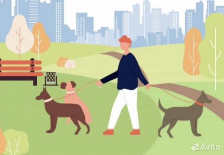 Занимаюсь выгулом собак