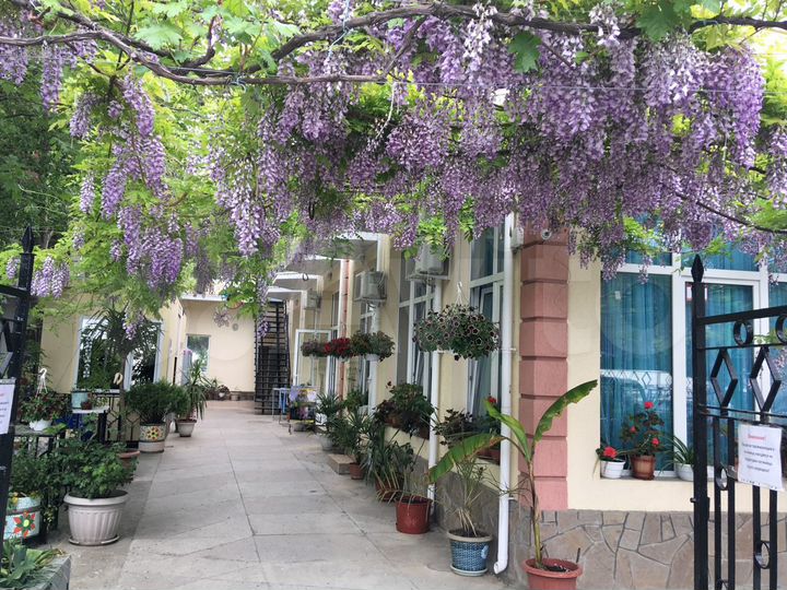 Комната 25 м², 1/2 эт.