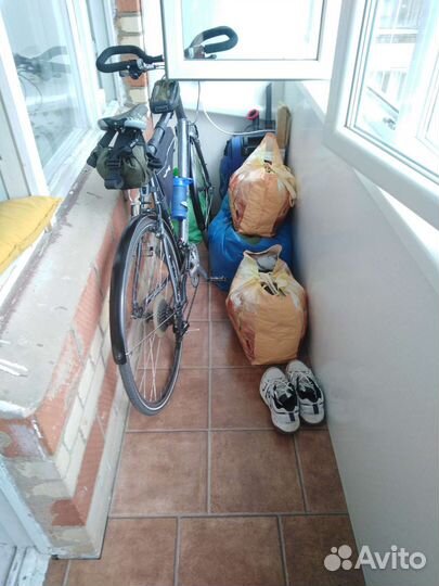 Дорожный, туринг, гревел silverback scento 2