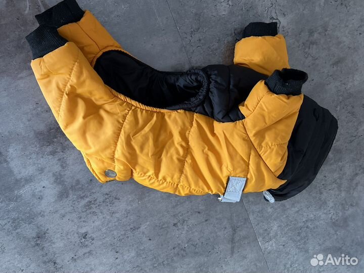 Комбинезон для собаки