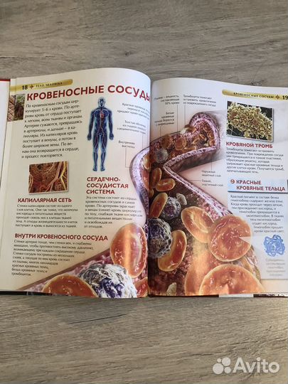 Книга тело человека