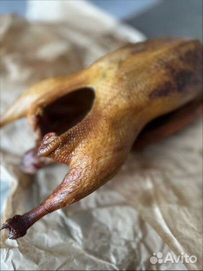 Гусь вяленый Гусь копченый Утки Казылык