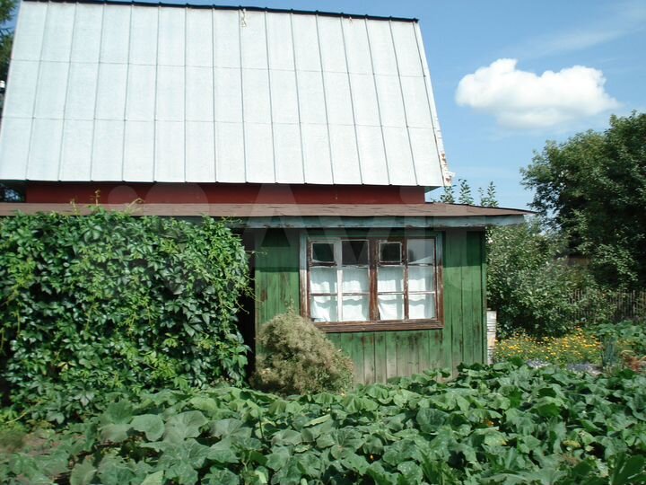 Дача 37 м² на участке 5 сот.