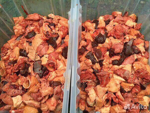 Говяжья обрезь и ливер для собак