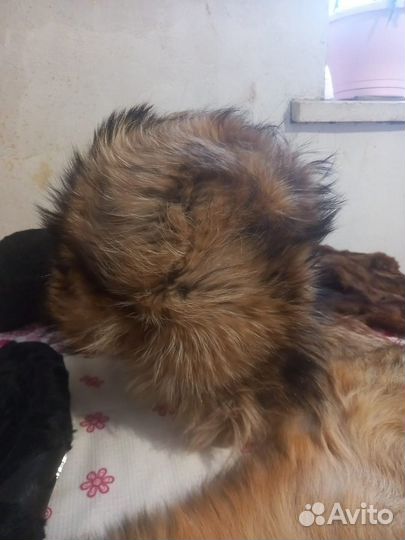 Натуральный мех шапка и шкурки