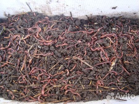 Плодородный грунт вермикомпост в мешках