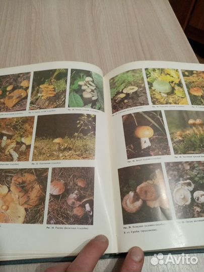 Продам книгу