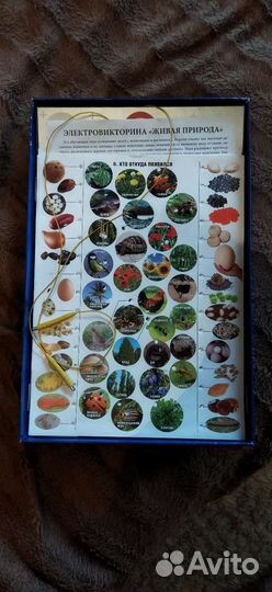 Живая природа(электро викторина)