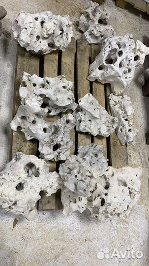 Кенийский (Занзибар ) камень