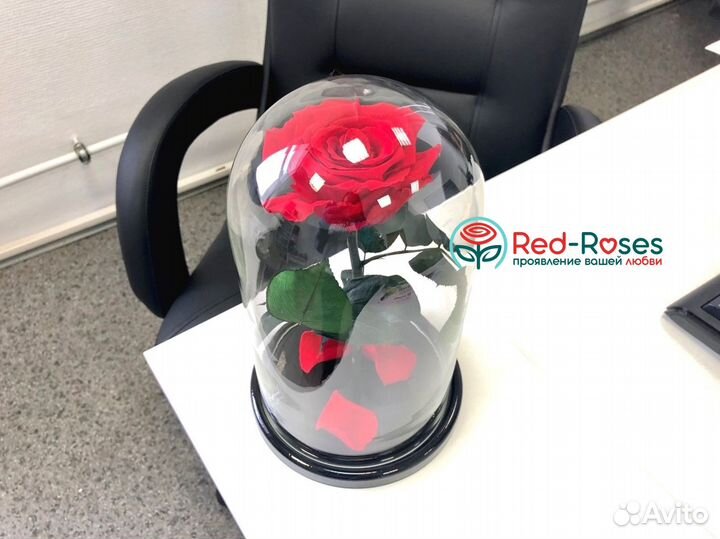 Красная вечная роза в колбе