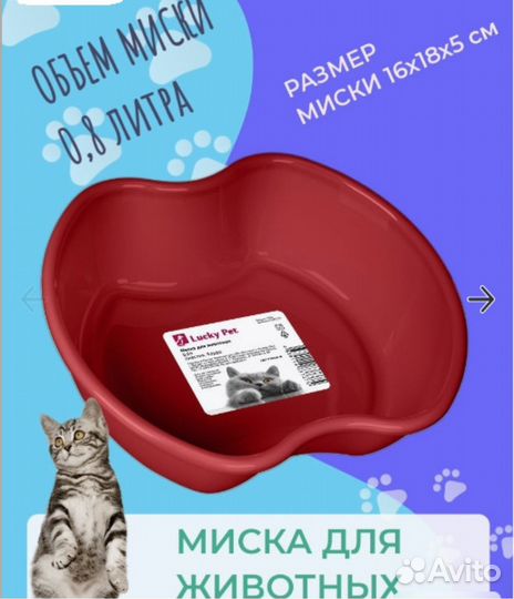 Контейнер для корма 5,5 л, миска в подарок